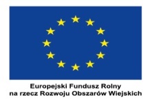 flaga_UE